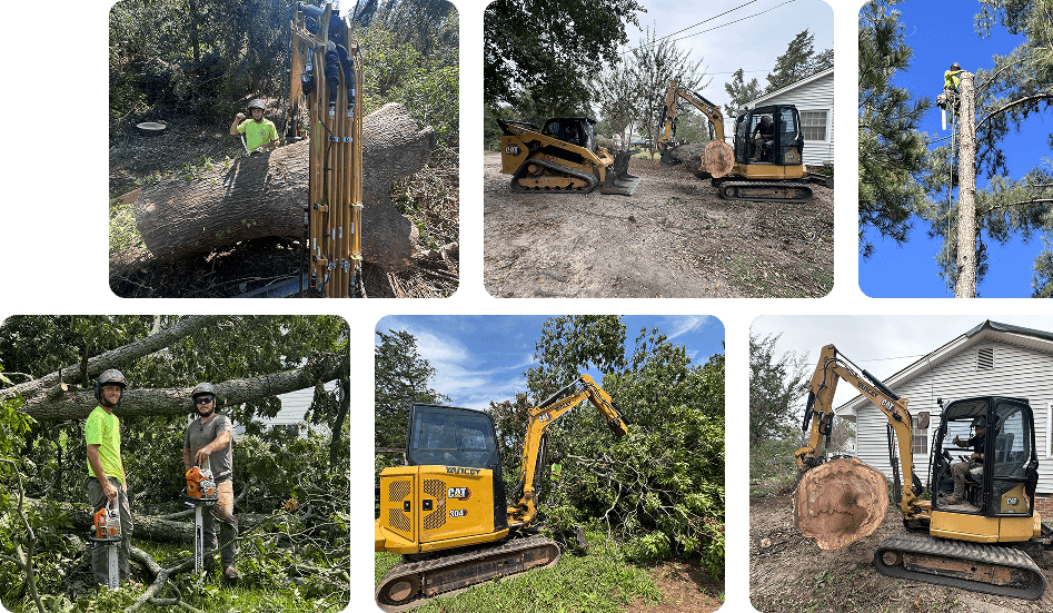 about forestry land solutions