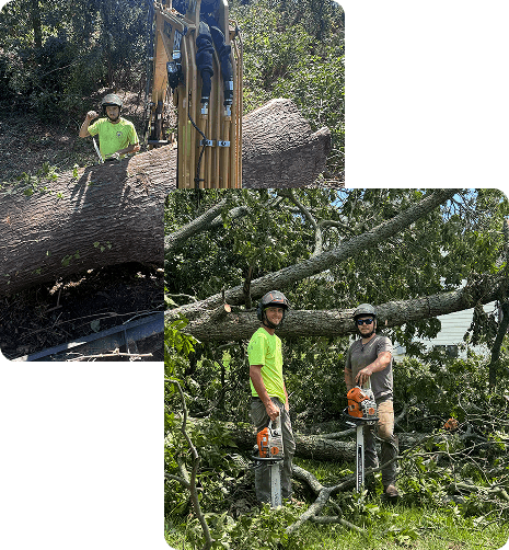 about trusted experts