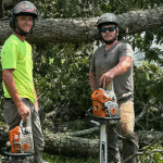 emergency tree service