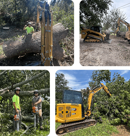 about forestry land solutions