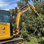 shrub removal and trimming