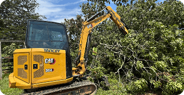 shrub removal and trimming