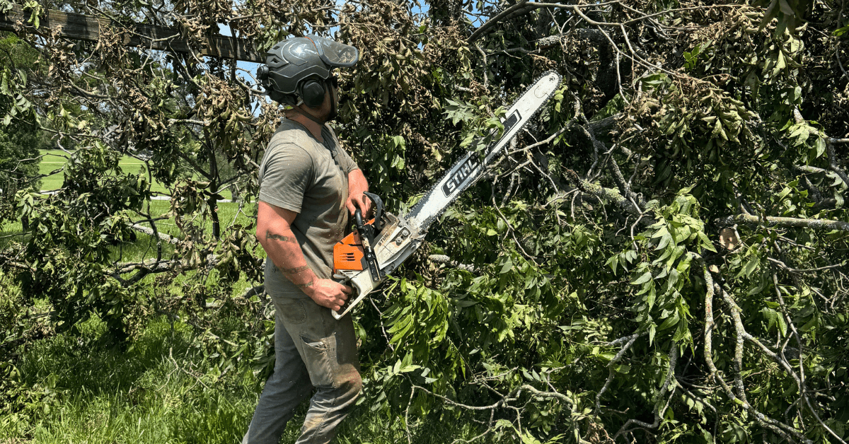 FLS Tree Service trimming tall overgrown shrubs in a front yard in Buford, GA