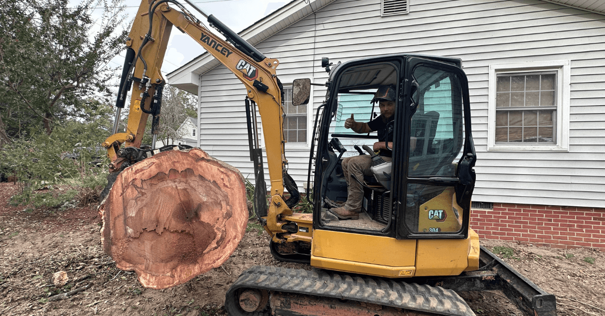 FLS Tree Service crew grinding a large tree stump in a residential backyard in Georgia
