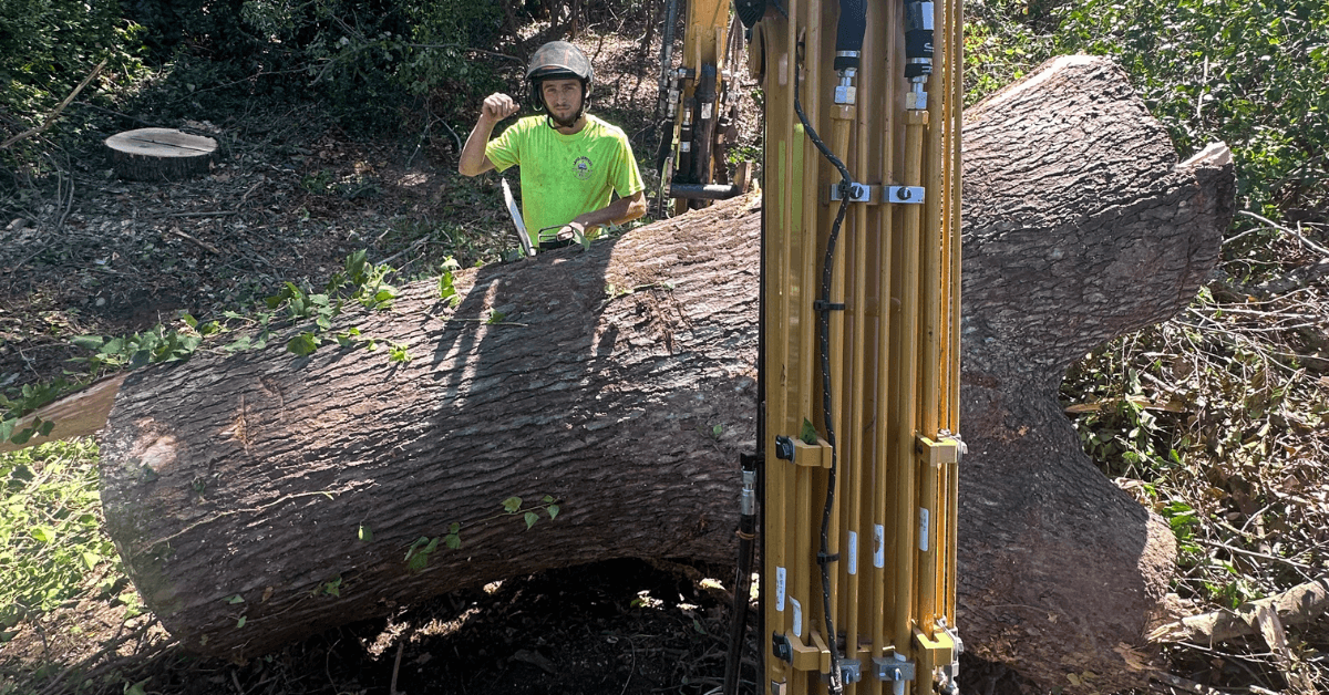 FLS Tree Service team performing tree removal with crane equipment in Buford, Georgia