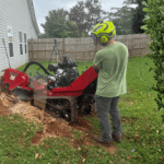 Stump Grinding & Removal