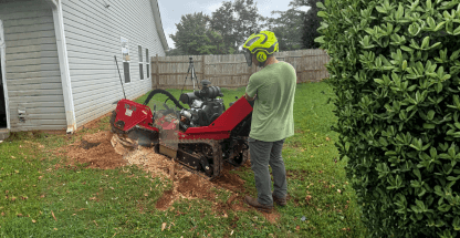 Stump Grinding & Removal