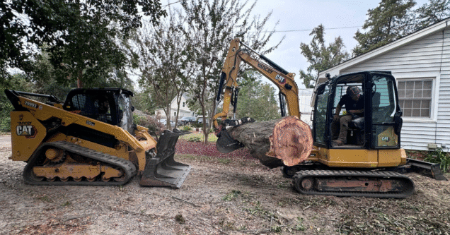 What to Expect From a Tree Service Company