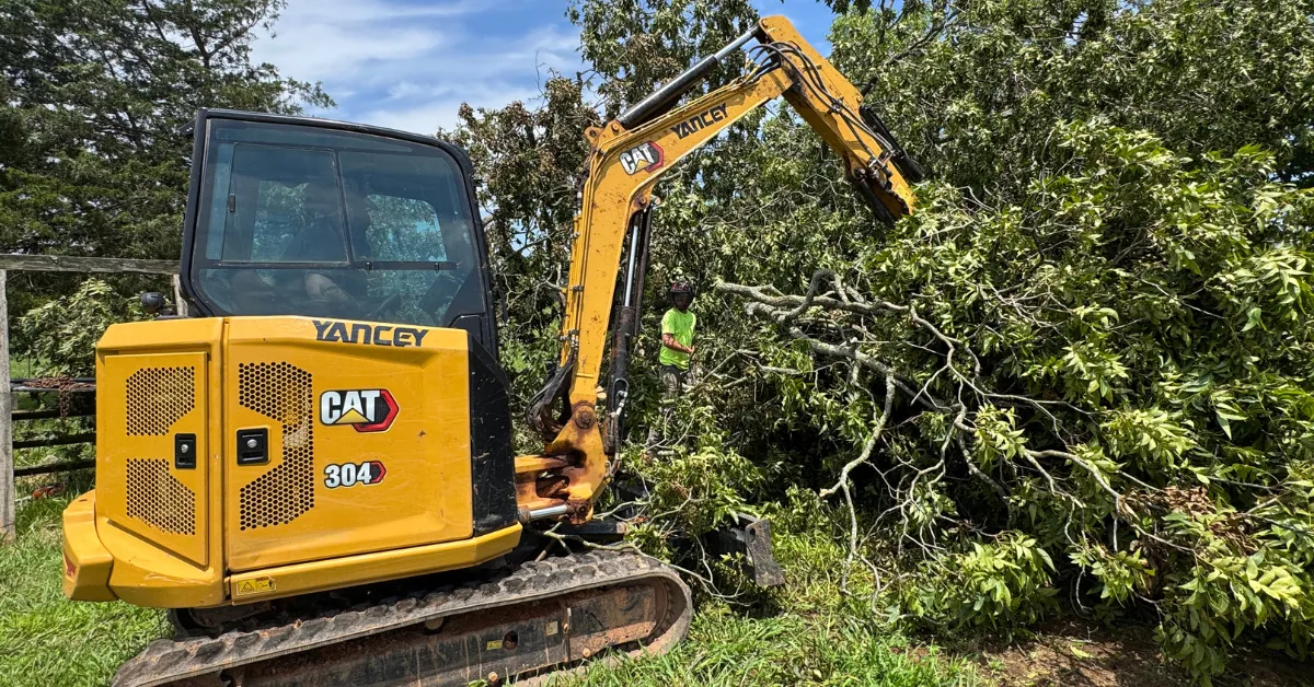 Forestry Land Solutions team performing emergency tree removal at night in Gwinnett County