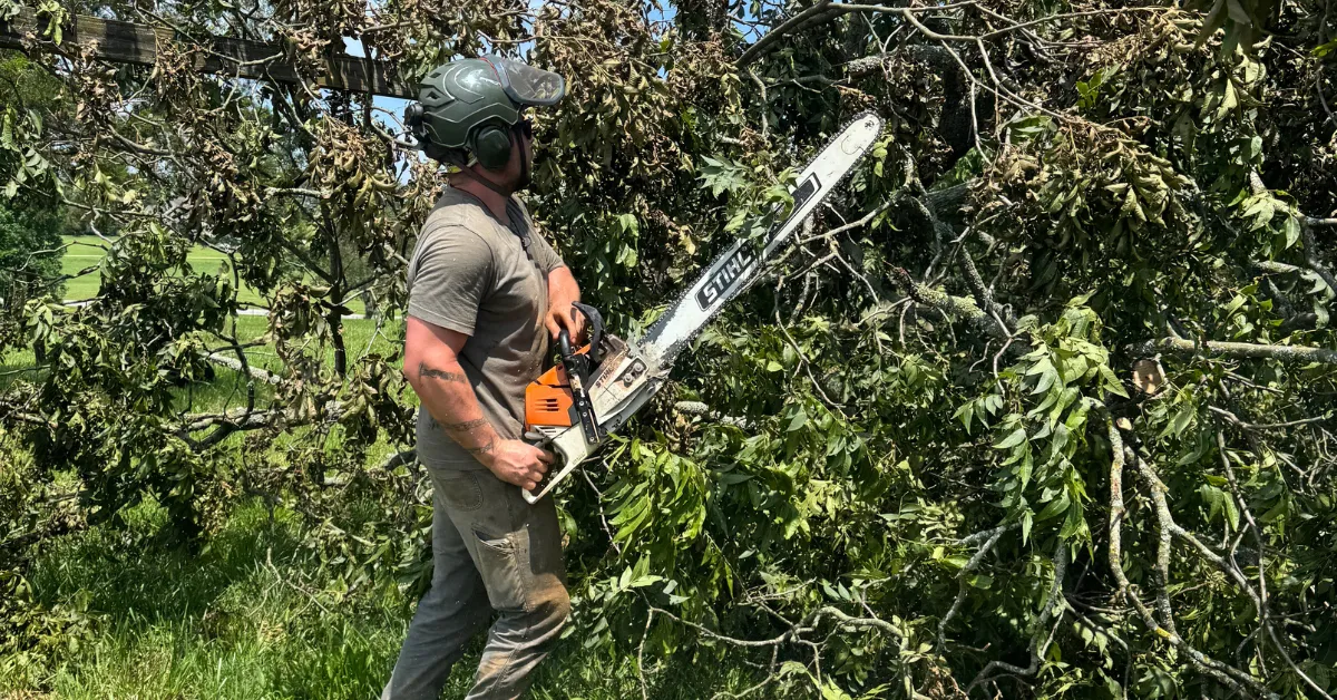 Forestry Land Solutions trimming tall overgrown shrubs in a front yard in Buford, GA