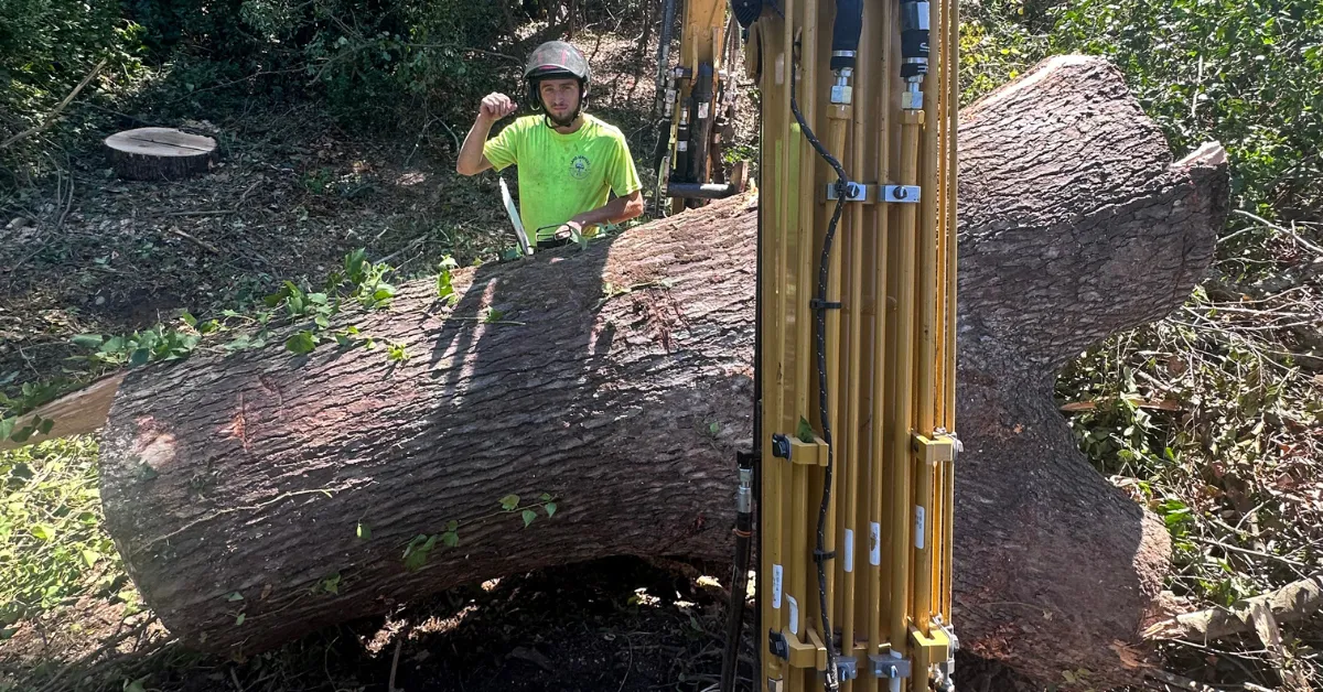 Forestry Land Solutions team performing tree removal with crane equipment in Buford, Georgia