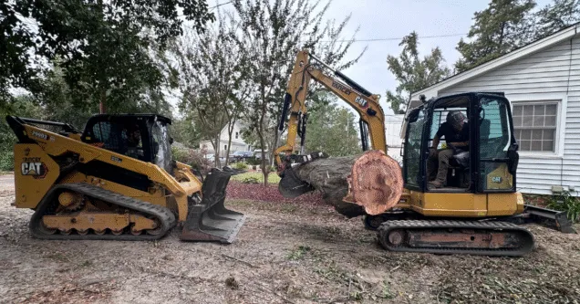 What to Expect From a Tree Service Company