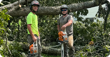 emergency tree service