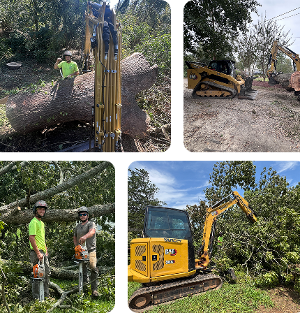 about forestry land solutions