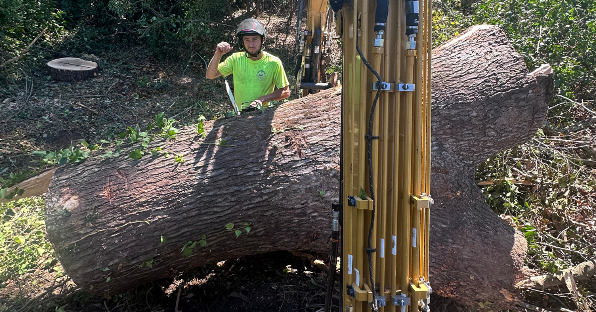 FLS Tree Service team performing tree removal with crane equipment in Buford, Georgia