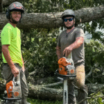 Tree Service Near Me